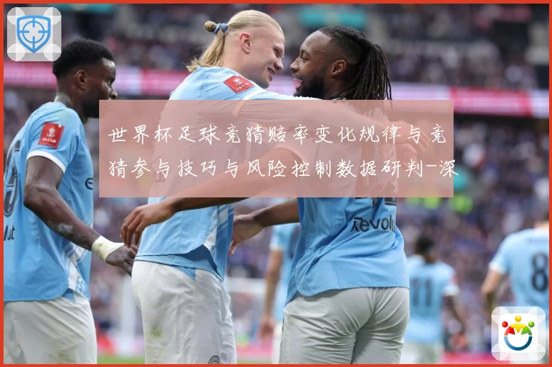 世界杯足球竞猜赔率变化规律与竞猜参与技巧与风险控制数据研判-深度解析