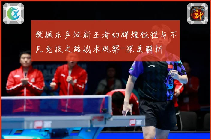 樊振东乒坛新王者的辉煌征程与不凡竞技之路战术观察-深度解析
