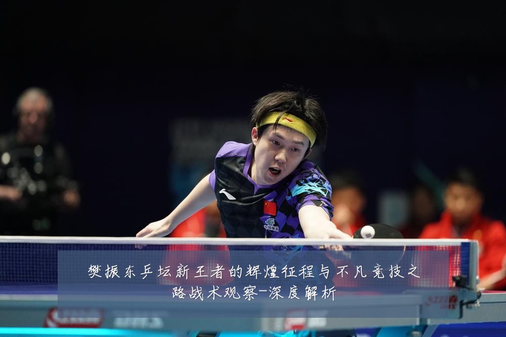 樊振东乒坛新王者的辉煌征程与不凡竞技之路战术观察-深度解析
